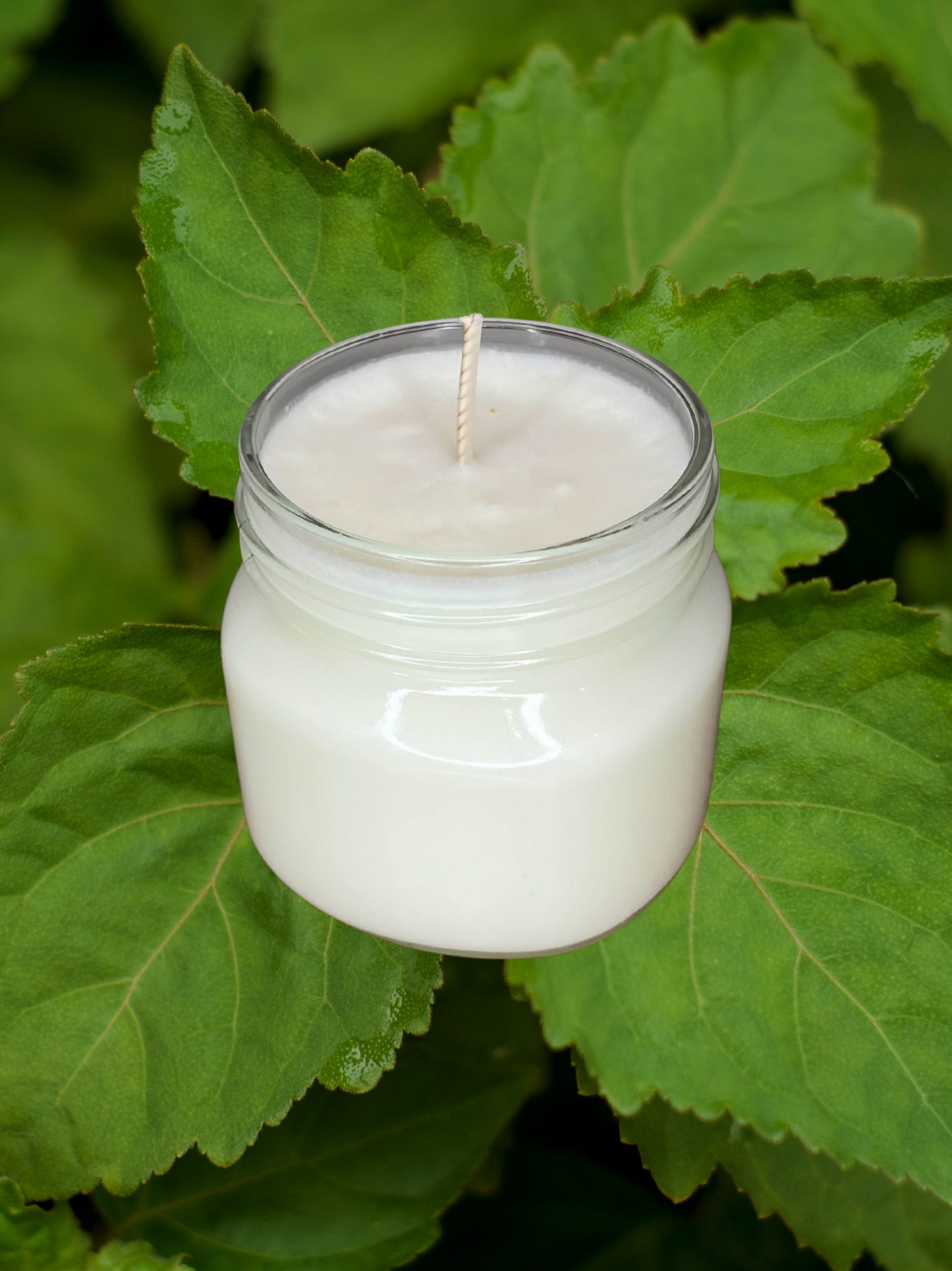 Pine & Patchouli