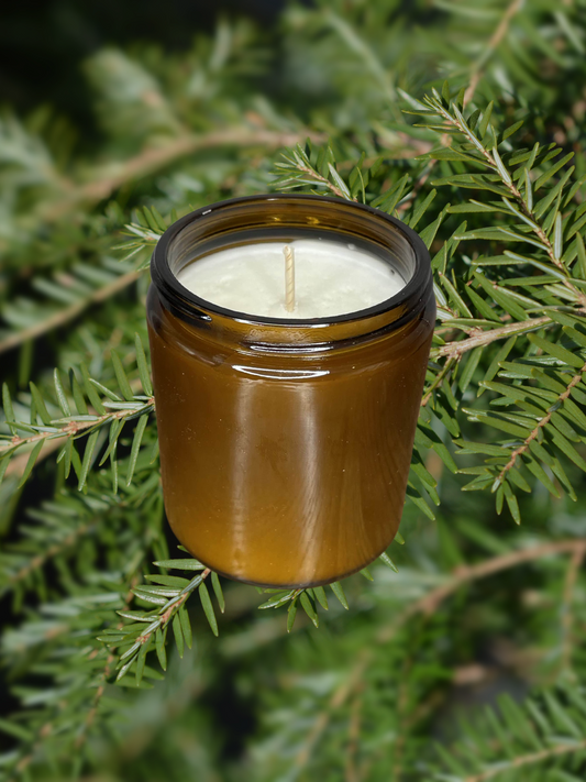 Hemlock Haze